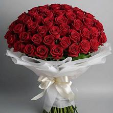Букет 101 Красная роза Блэк Мэджик в Нижнекамске