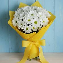 Букет цветов из:  Хризантемы в Нижнекамске