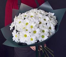 Букет цветов из:  Хризантемы #REPLACE_PRED# Нижнекамске
