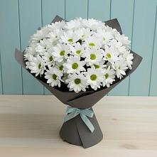 Букет цветов из:  Хризантемы #REPLACE_PRED# Нижнекамске