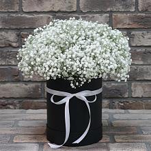 Цветочная композиция из Гипсофила в шляпной коробке в Нижнекамске