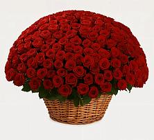 Премиум букет из: Розы в Нижнекамске